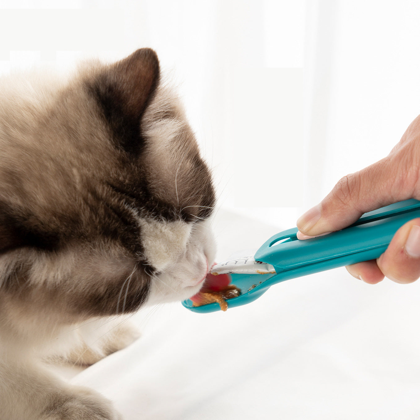 Elevate Your Cat's Dining Experience with The Hot Cat Strip Spoon Feeder!